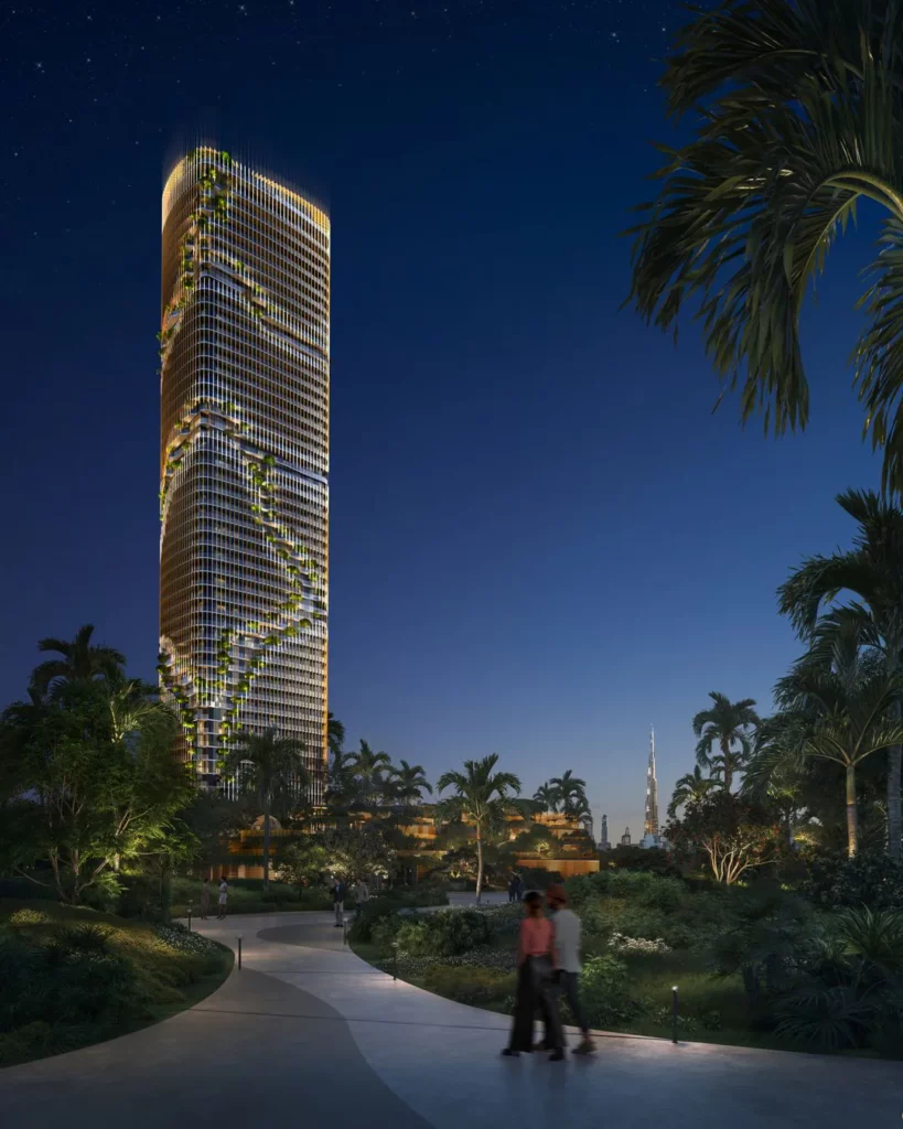 Hero-Shot-Forest-View-Night-Kanyon-by-Beyond-819×1024